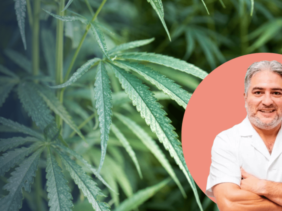 La imagen es una pieza de comunicación institucional de Bella Mar diseñada para generar un impacto inmediato y concienciar sobre los riesgos del consumo de cannabis desde una perspectiva médica. La composición se divide en dos secciones principales. A la izquierda, la figura del psiquiatra aporta autoridad y rigor científico al mensaje; su vestimenta en azul corporativo y el logotipo bordado lo vinculan directamente con los estándares de calidad y cuidado del centro. Su postura firme y mirada directa buscan establecer una conexión de confianza y advertencia con el espectador. A la derecha, el diseño gráfico utiliza un contraste potente. El uso de la palabra "diabólicos" en el titular busca romper la percepción social de que la marihuana es una sustancia inofensiva, subrayando la gravedad de sus efectos secundarios en la salud mental. El fondo, decorado con siluetas de hojas de cannabis, refuerza visualmente el tema tratado sin perder la sobriedad que requiere un mensaje de salud pública. En el contexto de Bella Mar, esta imagen actúa como una cabecera informativa para alertar sobre patologías como la psicosis cannábica, el deterioro cognitivo o la dependencia. El objetivo es desmitificar el consumo y ofrecer una salida profesional a quienes ya sufren sus consecuencias. Al situar el logotipo del centro junto a una alerta médica tan contundente, se posiciona a la institución no solo como un lugar de tratamiento, sino como un referente de prevención y educación sanitaria, comprometido con la salud mental y la recuperación de la autonomía de los pacientes frente a las adicciones.
