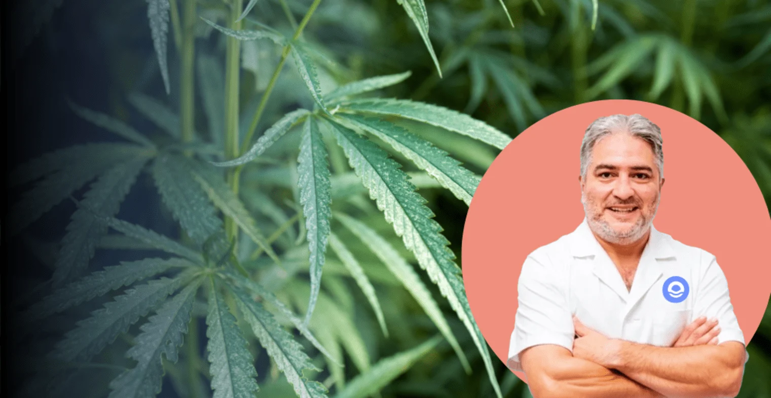 Psiquiatra avisa: Así son los diabólicos efectos de la marihuana en el cerebro