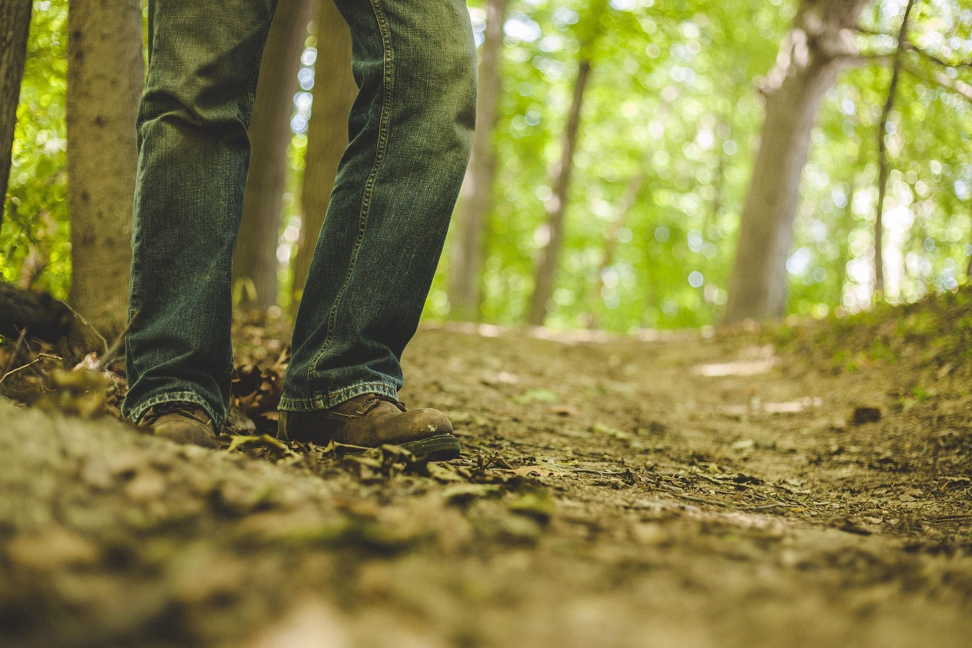 plano detalle en un bosque donde se da protagonismo al tren inferior de esta a la que vemos con vaqueros y zapatos de sendero, en bellamar sentimos que de cierta forma sirve para mostrar metafóricamente la desorientación que da el cannabis