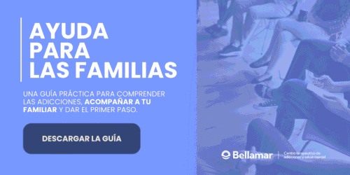 Descargar guía