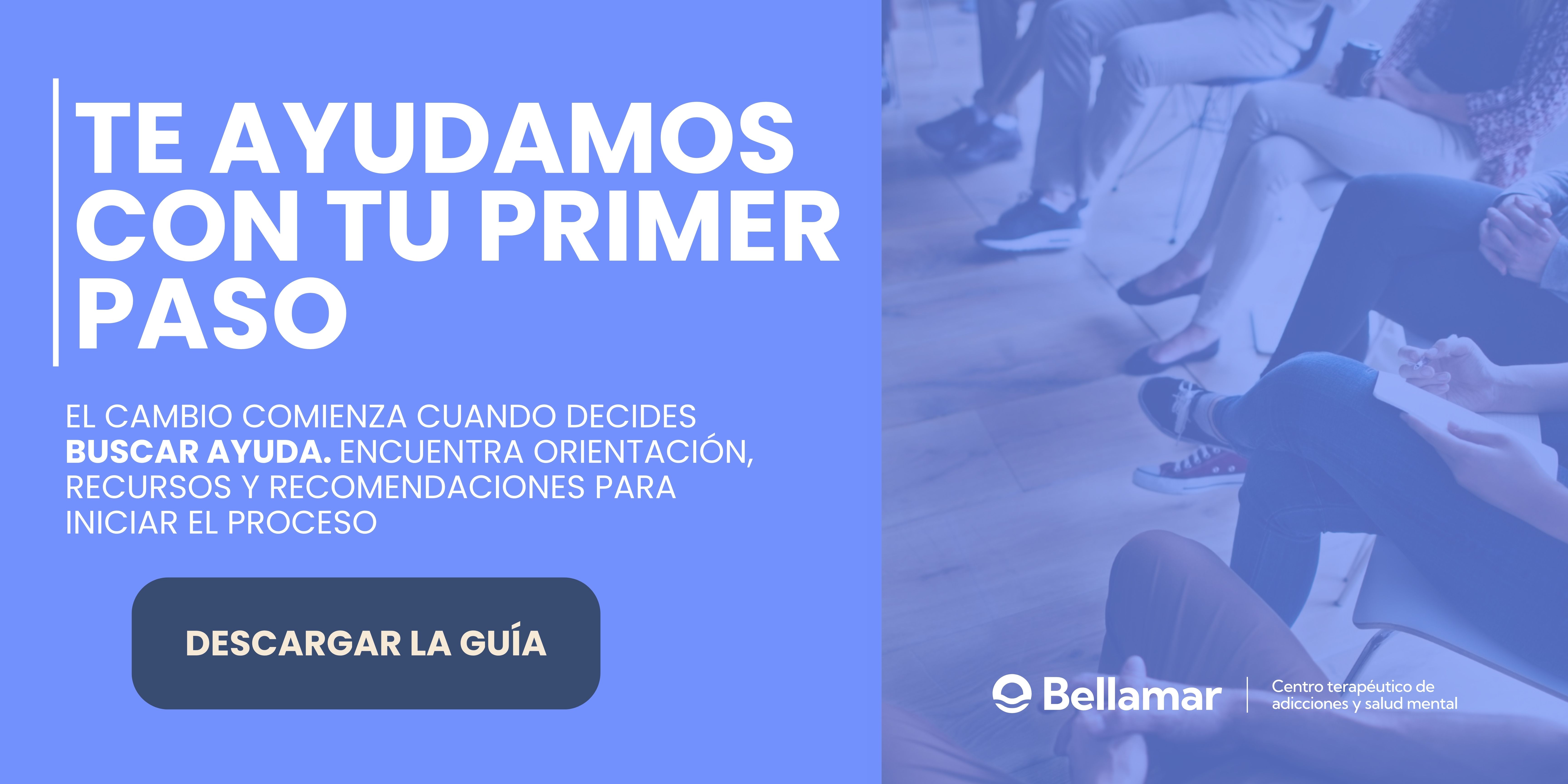 Descargar guía